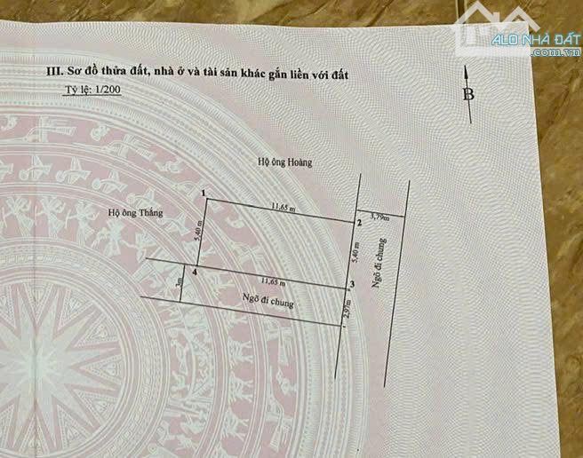 🌺 Lô Góc Mặt Ngõ 455 Đằng Hải  - Diên tích: 63m (ngang 5m4) - Hướng Đông Nam - Lô đất các - 8