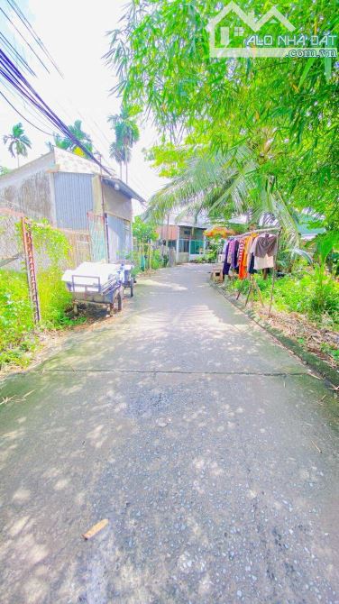 Bán đất 133 m2 thổ cư đường Nguyễn Trãi nối dài - 8