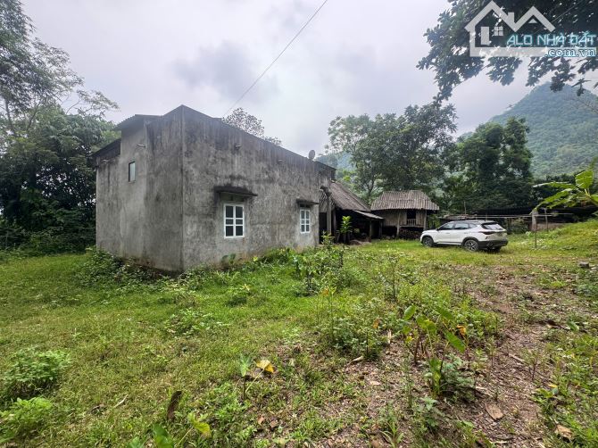2087m Có 400m Đất ở - Bám Suối Cực Đẹp 50m - Đẹp Như Một Ốc Đảo - 8