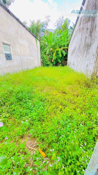 Bán đất 133 m2 thổ cư đường Nguyễn Trãi nối dài - 9