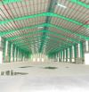 Cho thuê kho xưởng CCN Cần Đước, Long An 3000m2 - 5000m2 - 7000m2 - 10.000m2