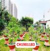 Đất MT Khu Võ Văn Kiệt - 24 x 80M - 59 Tỷ - Quận Bình Tân