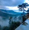 Bán đất 2 mặt tiền chính Hoàng Hoa Thám Phường 10 Đà Lạt view rừng thông thung lũng xanh