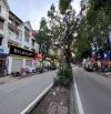 Nhà mặt phố Hạnh Hoa, Xa La, 120m, vỉa hè rộng, Kinh doanh sầm uất, giá đầu tư
