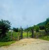Bán đất Lương Sơn, Hoà Bình 1557m2 siêu đẹp giá đầu tư