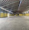 Cho thuê kho xưởng gần KCN Tân Tạo, Bình Tân, diện tích 900m2 - 6000m2