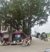 🌺HOA HẬU DỤC TÚ - ĐÔNG ANH - VIEW KHU ĐẤU GIÁ BÊN SƯỜN LÀ NHÀ VĂN HOÁ-ĐƯỜNG OTO TRÁNH VỈA