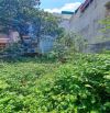 BÁN ĐẤT LÀNG CAM- CỔ BI GIA LÂM-Ô TÔ VÀO NHÀ-NGÕ THÔNG-103m2- 10 tỷ.