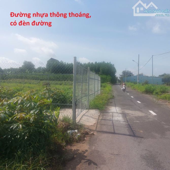 BÁN ĐẤT AN VIỄN (TRẢNG BOM) GẦN KHU CÔNG NGHIỆP, NHÀ THỜ - 5