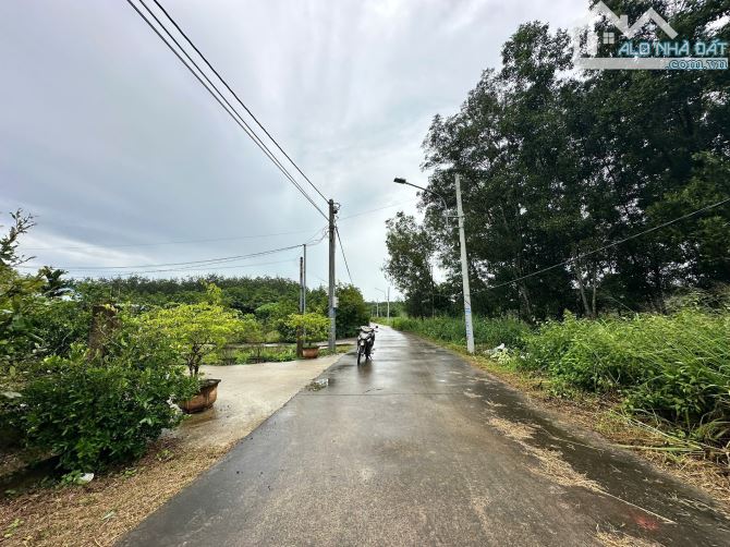 BÁN LÔ ĐẤT BÊ TÔNG  BẦU BÀNG DIỆN TÍCH KHỦNG