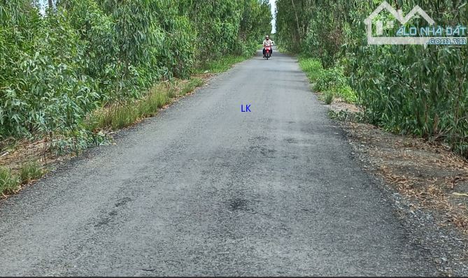 🔰 Bán đất lúa: 42.000m² (23m x 557m, nở hậu 71m) Đường nhựa 5m, xã Phú Hiệp, H Tam Nông