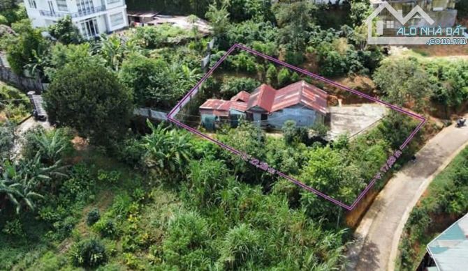 Bán gấp đất tặng căn nhà gỗ nhỏ view đẹp 455m2 tại đường Đống Đa Đà Lạt