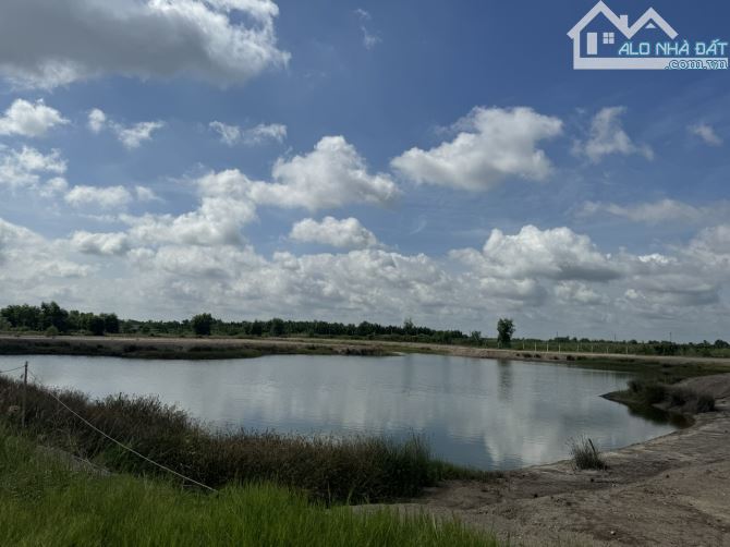 cho thuê 5 hecta đất đường Nguyễn Văn Tạo - Nhà Bè giá rẻ