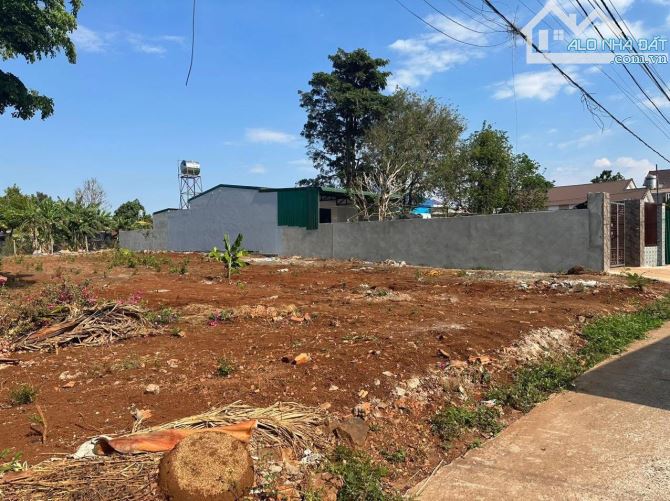 BÁN LÔ ĐẤT (500m2) THỔ CƯ HẺM C1 MAI THỊ LỰU THÔNG 19/5 - Y NUê