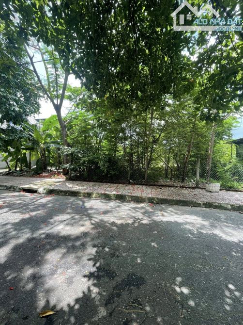 🔥 3 LÔ ĐẤT BIỆT THỰ SÁT NHAU – SÁT KCN – GẦN CẢNG BIỂN: LỰA CHỌN VÀNG CHO NHÀ ĐẦU TƯ MIỀN
