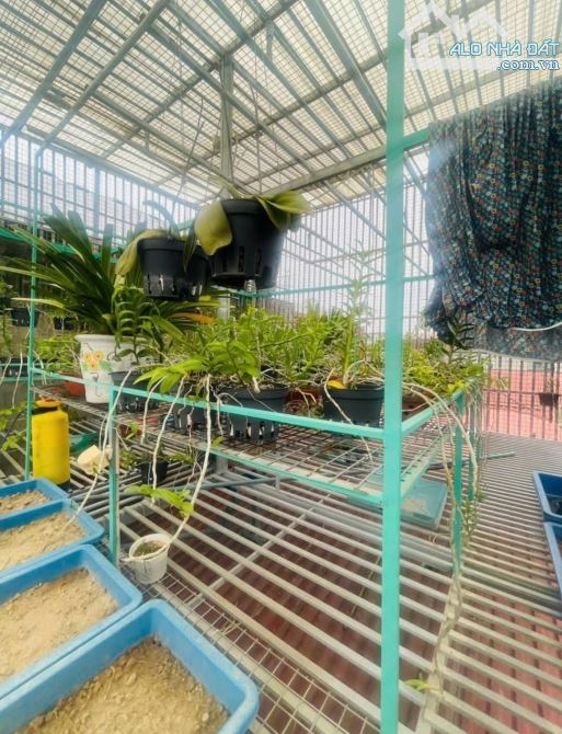 Bán nhà Phạm Hữu Điều, An Dương, Lê Chân,  2 tầng, 38m2, 1,82 tỷ.