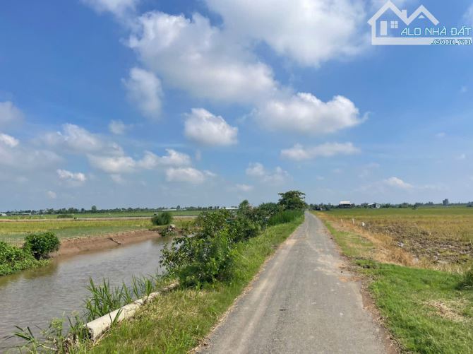 1 công đất thổ - vườn, mặt tiền nhựa gần biển Rạch Bùn, Tân Điền, TG bán 1 tỷ.