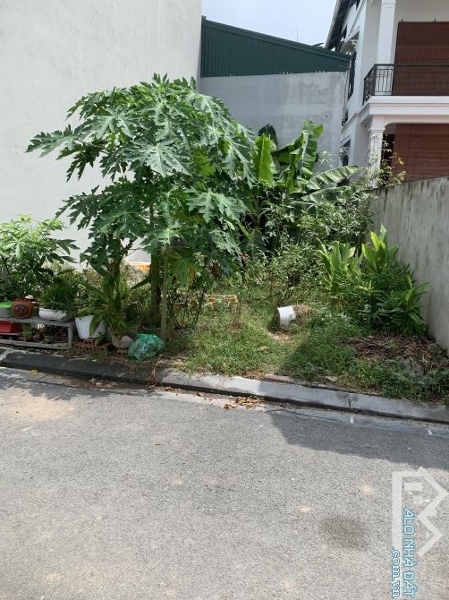 bán đất đẹp hải bối - cách cầu nhật tân 1km- lõi thành phố thông minh