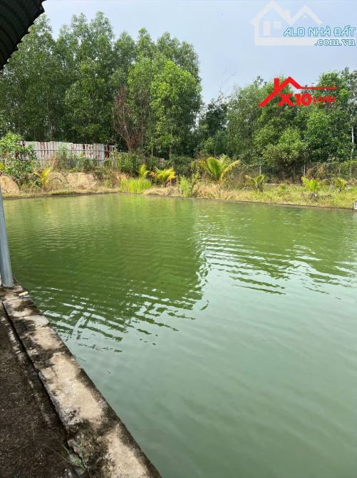 Bán xưởng mặt tiền 768, Vĩnh Cửu, Đồng Nai. Diện tích hơn 1 mẫu, giá rẻ-XB022