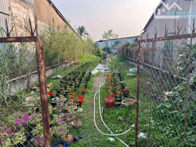 6x38(nở hậu 8m)=248m2 96m2 Thổ Cư Còn Lại CLN Nền Tô Vĩnh Diện ,Bình Thuỷ TPCT Giá 4Tỷ960