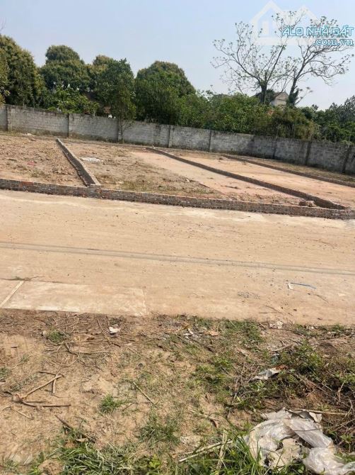 💯💯Hoa Hậu Chương Lộc - Chương Dương - Thường Tín   ⛔️Diện tích: 81M2 👉Mặt tiền = Hậu =