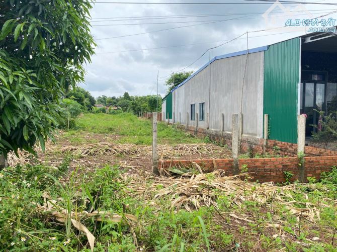 ĐẤT ĐẸP XÃ HOÀ KHÁNH MẶT TIỀN KINH DOANH VIEW RUỘNG - Loctran