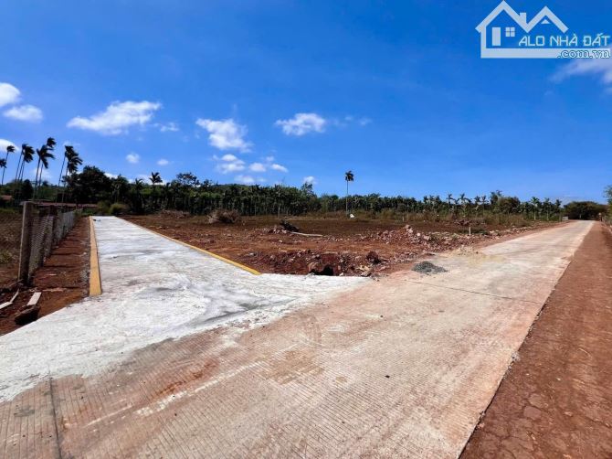 CHỦ CẦN BÁN GẤP LÔ ĐẤT PHƯỜNG TÂN LẬP KOMLEO