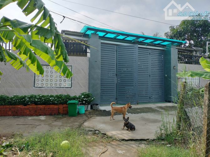 Bán đất tặng nhà có sẵn hồ cá cây cảnh,sân để xe hơi diện tích 297m chỉ 5ty3=gần 18tr/m
