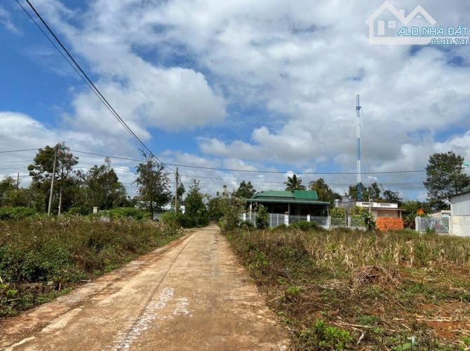 BÁN LÔ ĐẤT EATU. BUÔN KOTAM. KM 11 QL26. BMT, 800Triệu