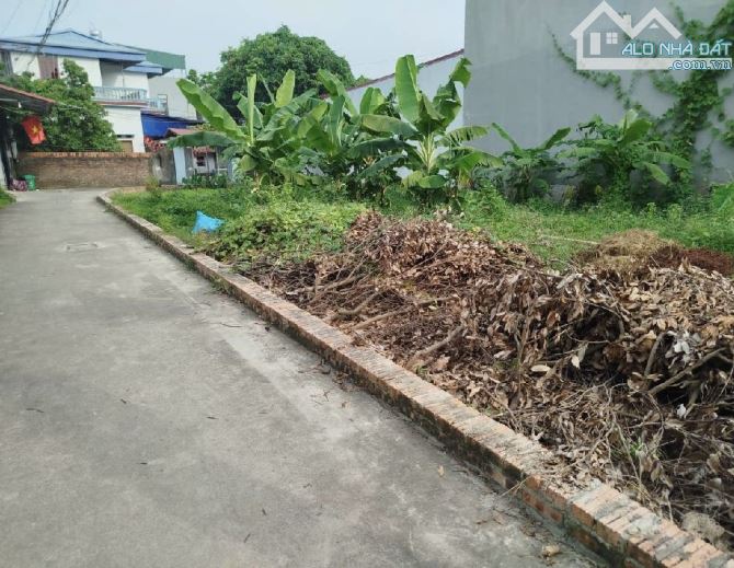 Lô góc quá đẹp .Giá cực tốt -83m full sổ đỏ chính chủ -Đồng Lạc -Tiên Dược -Sóc Sơn