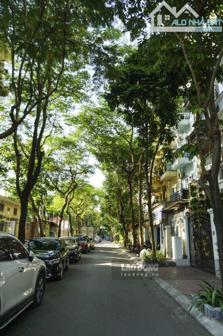 Bán nhà diện tích 56m2 x 6 tầng có thang máy phố Đào Tấn, ngõ ô tô tránh nhau