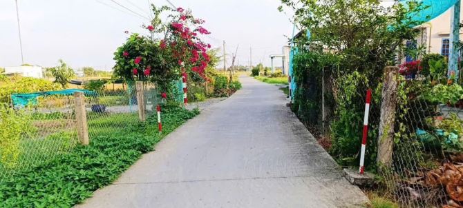 15m ngang ( Thổ cư full ) Ngay uỷ ban xã Bình Trinh Đông, Tân Trụ