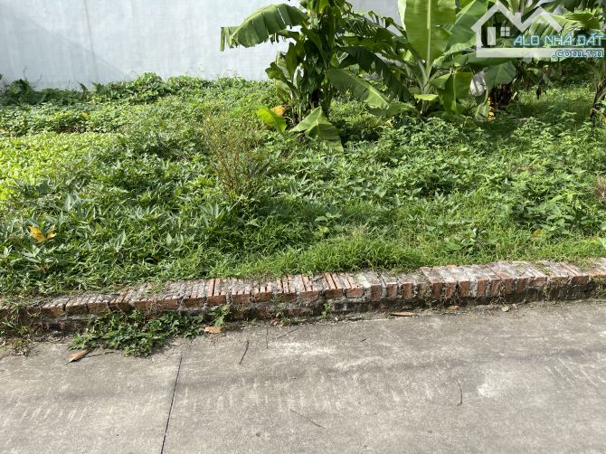 Chủ kẹt tiền muốn bán nhanh mảnh đất vàng tại sóc Sơn