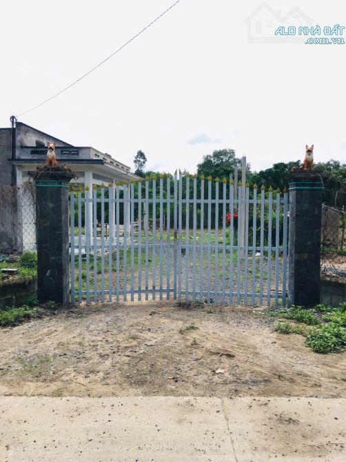 Bán nhà vườn sát đường Nguyễn Văn Khạ xã Phú Hòa Đông Củ Chi TPHCM, DT: 38x38m.