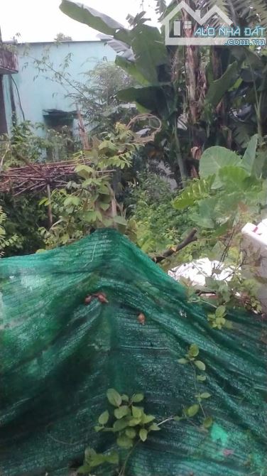 KHU PHỐ ĐÊM NHỘN NHỊP - CHỢ VIỆT KIỀU ĐƯỜNG LƯU BÌNH HƯƠNG CỦ CHI - 184M2 - FULL THỔ CƯ -