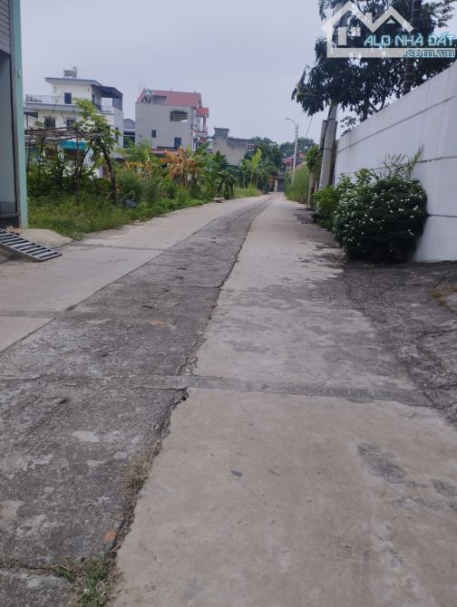 🔥 Lô góc siêu đẹp ,tổ 10 TT Quang Minh 🔥
