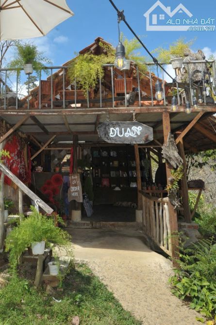 ✨ CƠ HỘI VÀNG – SANG NHƯỢNG HOMESTAY DU AN GARDEN TẠI D’RAN, LÂM ĐỒNG