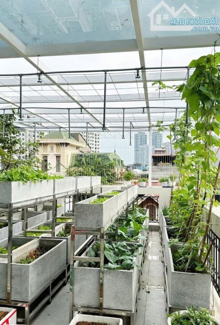 🎉🔥SIÊU PHẦM NHÀ XUÂN ĐỈNH-124M x 5T-MT 10M GARA ÔTÔ-LÔ GÓC-KD ĐƯỜNG ÔTÔ TRÁNH-THANG MÁY - 11