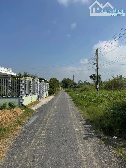 💎Cặp nền Đất Đẹp (5 x 29m) nhựa đê bao Long Hưng gần Công ty May Việt Long Hưng - 1