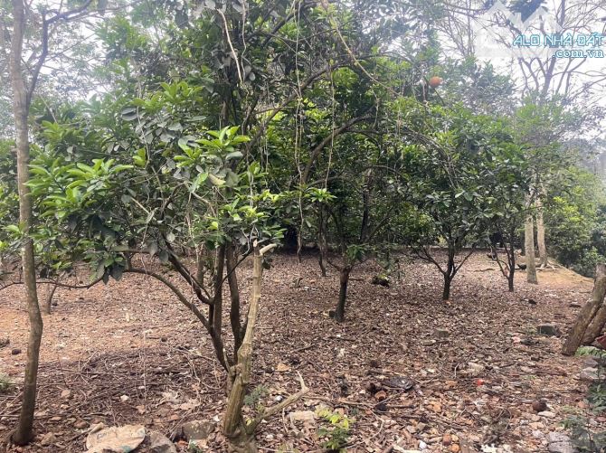 Bán đất mặt đường liên xã Cư Yên, Lương Sơn, Hoà Bình hàng F0 gần legacy hill - 1