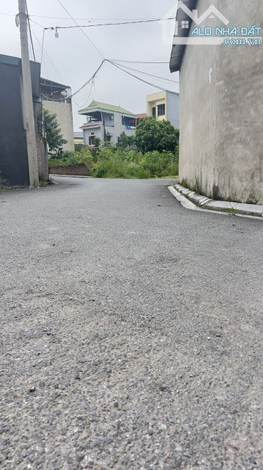 CẠNH TP THÔNG MINH PHƯƠNG TRẠCH ĐÔNG ANH- NGÕ OTO THÔNG- CÁCH CẦU NHẬT TÂN 1km. - 1