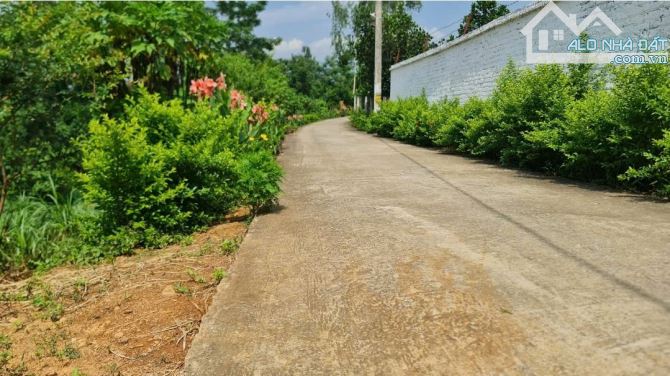 Đất đẹp Minh Quang, Ba Vì, 2020m, 150tc, view núi, đg thông, gần TL 415, chỉ 3.1tỷ - 1