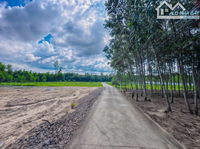 🌿 BÁN ĐẤT - HẺM QUỐC LỘ 55 - (25x40) - QUY HOẠCH ONT 100% - 1 TỶ 500 TRIỆU 🌿 - 1