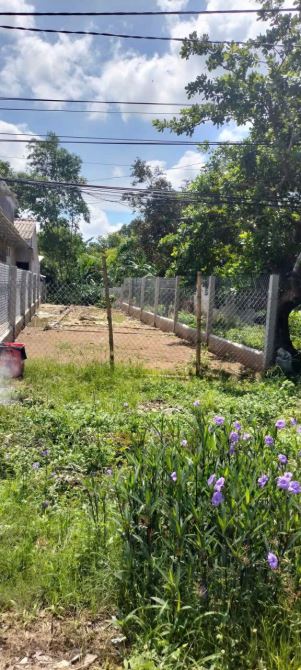 Đất mặt tiền quốc lộ 53 cách chợ Cầu Ngang 1.5km diện tích 247m2 - 1