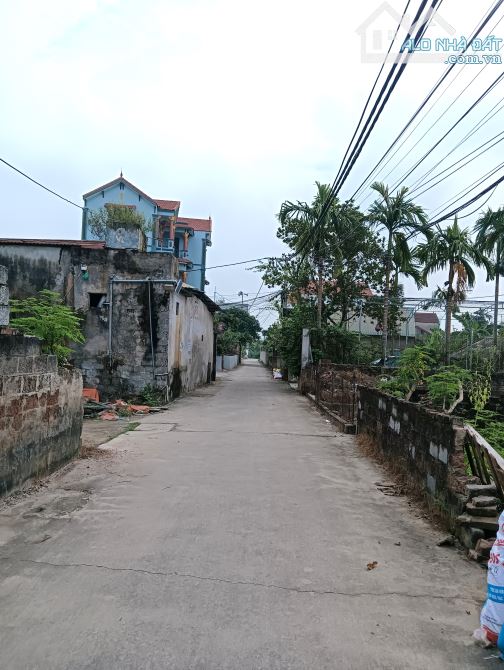 80m trục chính kinh doanh siêu rẻ đẹp 👉 thư phú -thường tín - 1