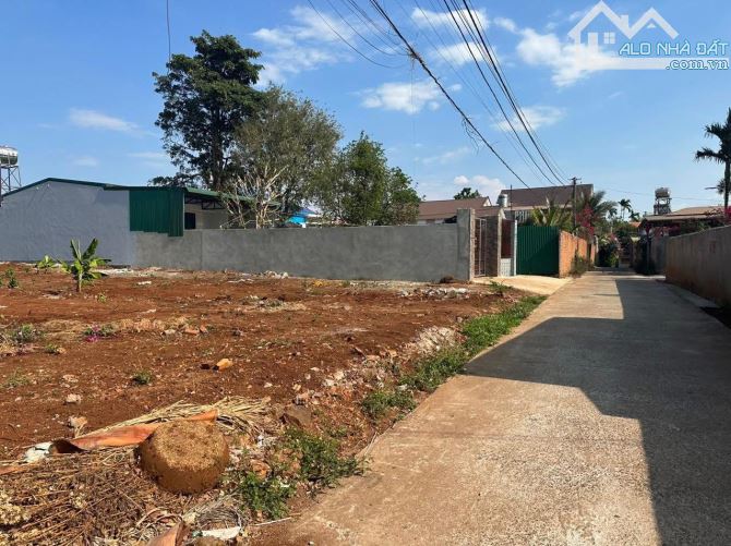 BÁN LÔ ĐẤT (500m2) THỔ CƯ HẺM C1 MAI THỊ LỰU THÔNG 19/5 - Y NUê - 1