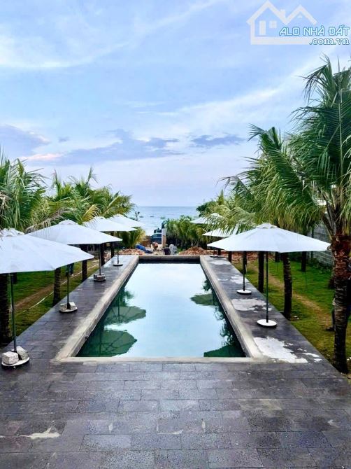 Gia đình cần bán gấp đất mặt biển phan thiết - 1