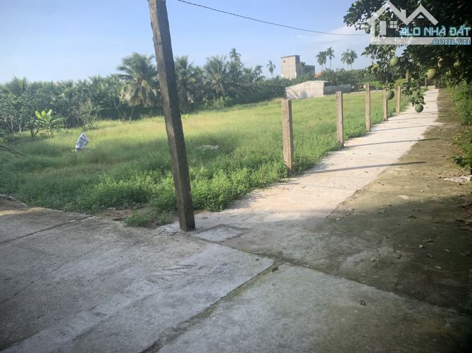 Nền Mỹ Phong gần THCS Lê Văn Nghề - 1