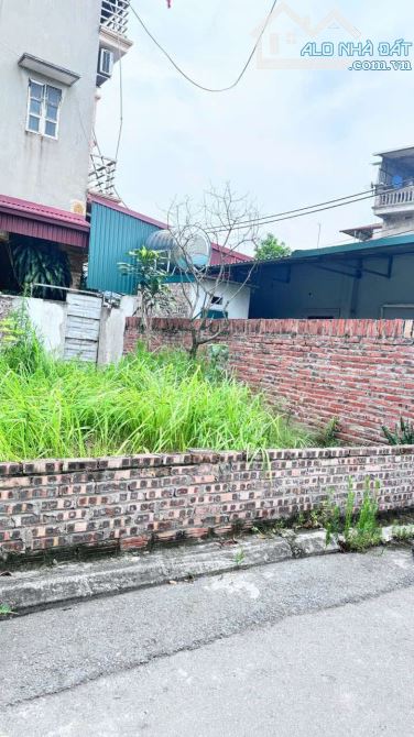 BÁN ĐẤT MẶT ĐƯỜNG GIAO TẤT – KIM SƠN – GIA LÂM – VỊ TRÍ KINH DOANH ĐẸP - 1