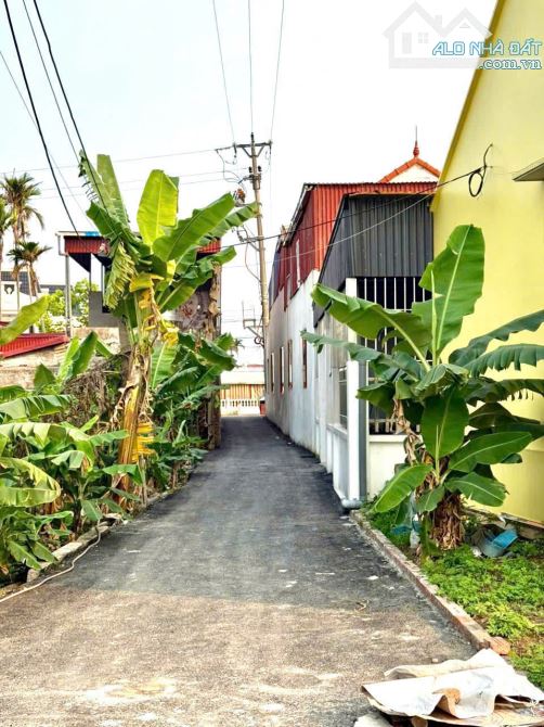 61,5m2 Trung Nghĩa, Đồ Sơn gần khu công nghiệp - 1